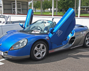 Sport Spider