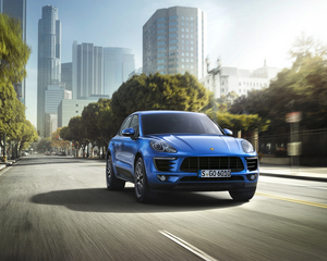 Macan