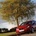 Seat Ibiza 1.9 TDI 105cv DPF Reference