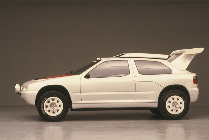 Citroën ZX Rallye-Raid