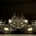 An early image of the Deltawing in the windtunnel