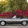 Jaguar E-Type 4.2-Liter