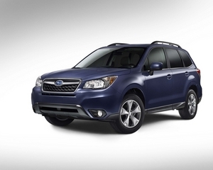 Forester 4