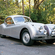 Jaguar XK 120