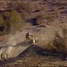 Dakar 2010